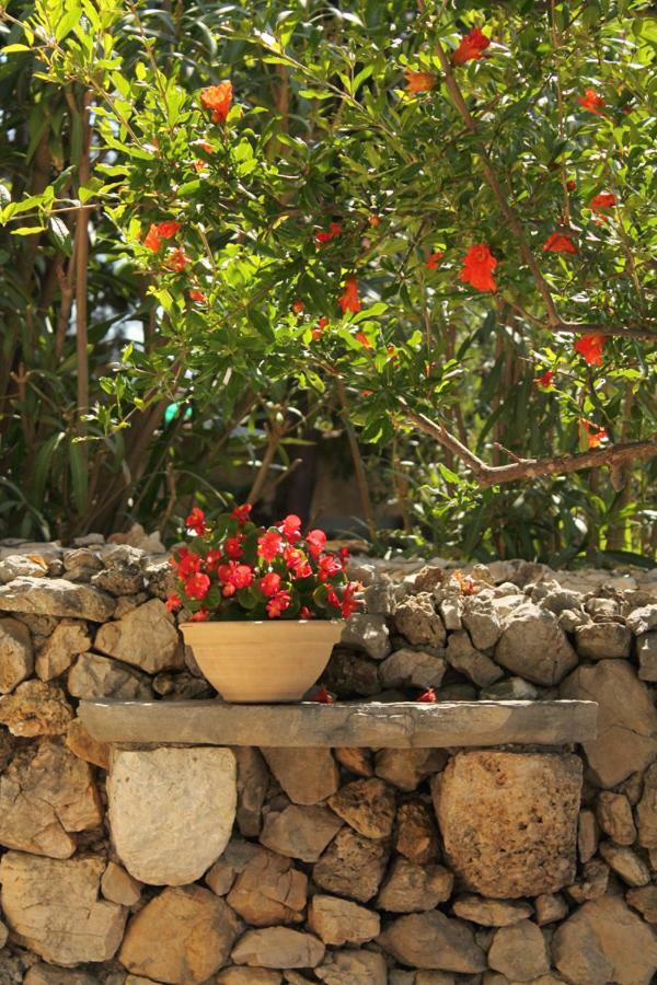 Apartments Nejasmic - Little House For Peaceful And Domestic Vacation 波尔 外观 照片