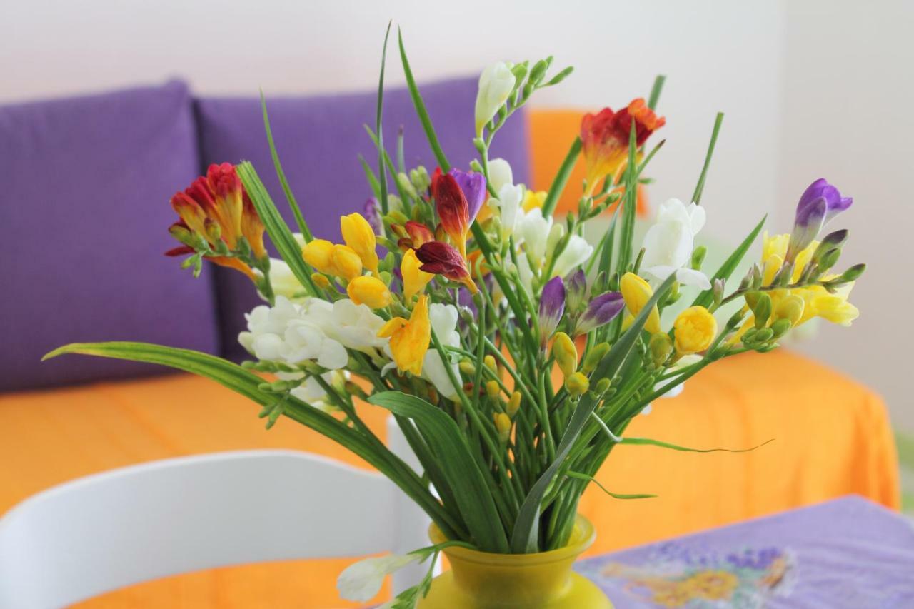 Apartments Nejasmic - Little House For Peaceful And Domestic Vacation 波尔 外观 照片