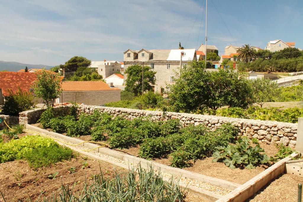 Apartments Nejasmic - Little House For Peaceful And Domestic Vacation 波尔 外观 照片