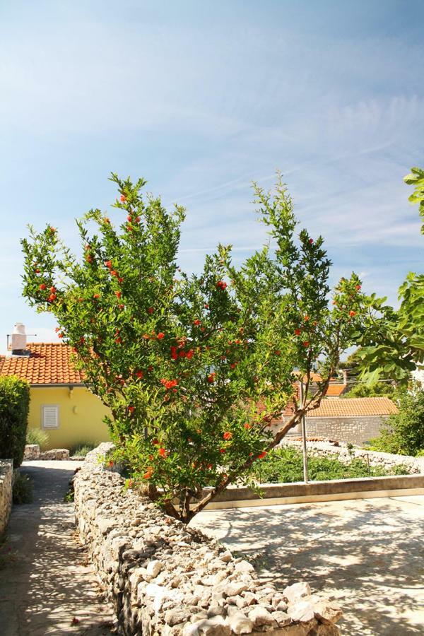 Apartments Nejasmic - Little House For Peaceful And Domestic Vacation 波尔 外观 照片